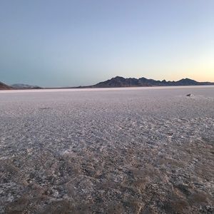 Meet your Posher, Rozalia